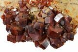 Deep Red Vanadinite Crystal Cluster - Morocco #157036-1